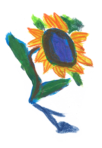 Sunflower illustration by Aska Schär