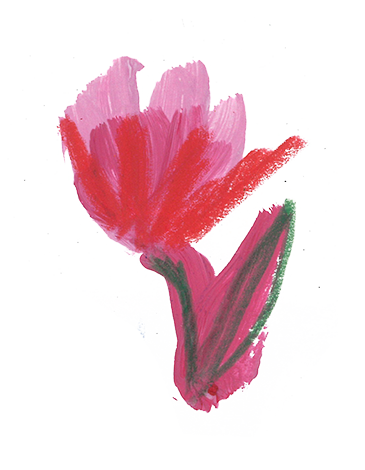 Flower illustration by Aska Schär