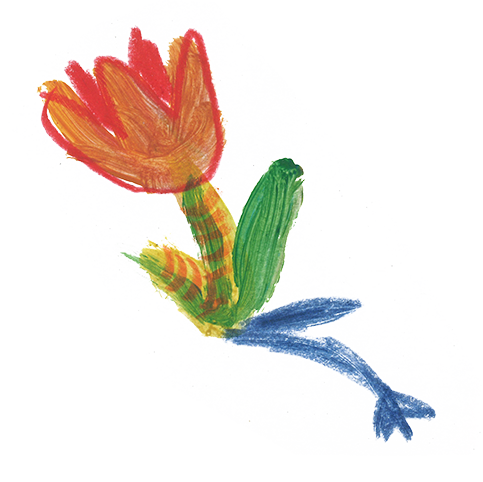 Flower illustration by Aska Schär