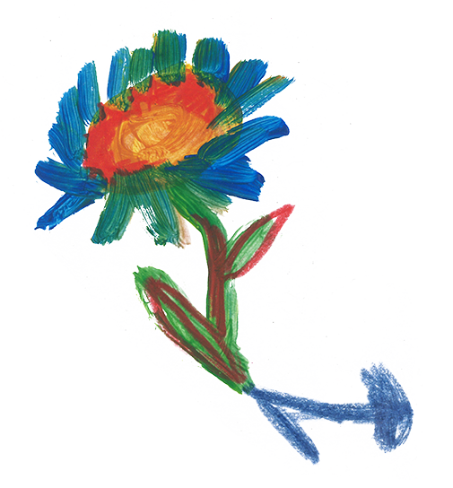 Flower illustration by Aska Schär