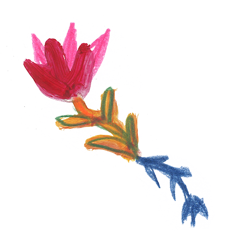 Flower illustration by Aska Schär