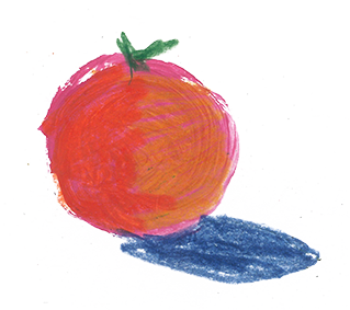 Flower illustration by Aska Schär