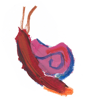 Snail illustration by Aska Schär